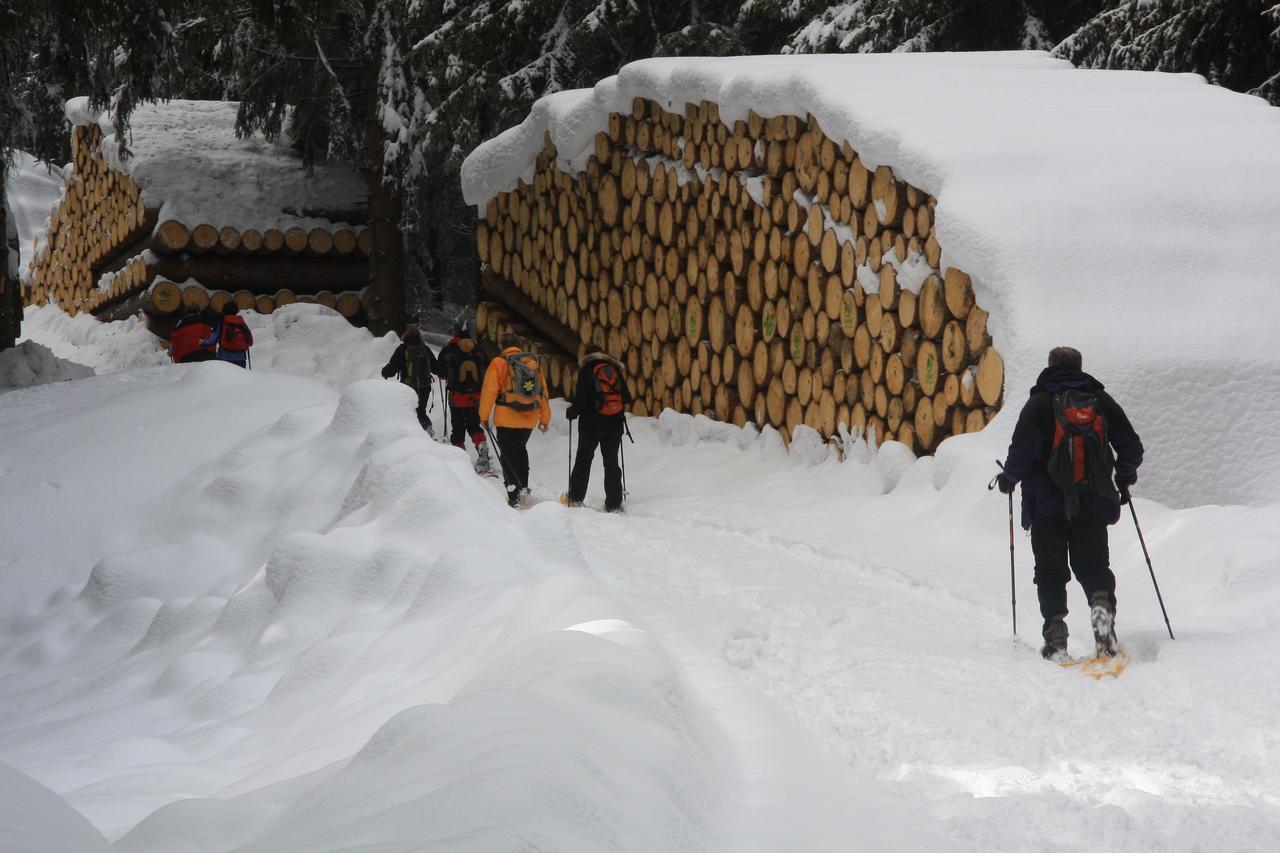 Gasthof Edelweiss ตีเรส ภายนอก รูปภาพ